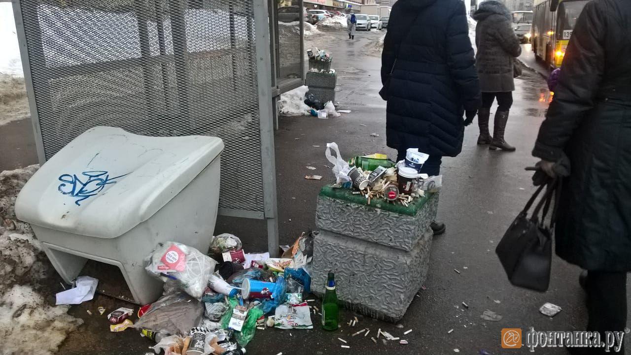 Проспект Просвещения